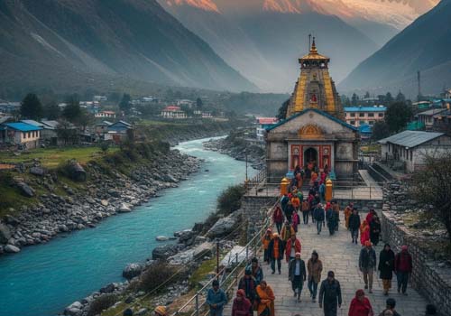 Image of a dense forest